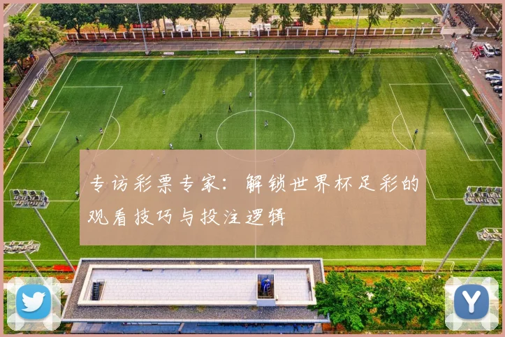 专访彩票专家：解锁世界杯足彩的观看技巧与投注逻辑