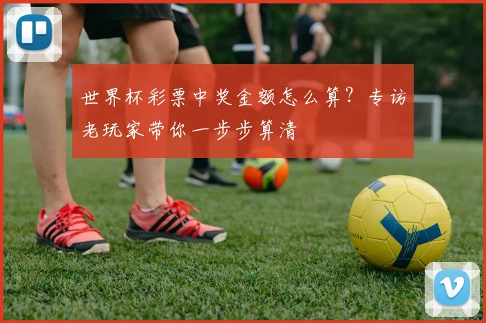 世界杯彩票中奖金额怎么算？专访老玩家带你一步步算清